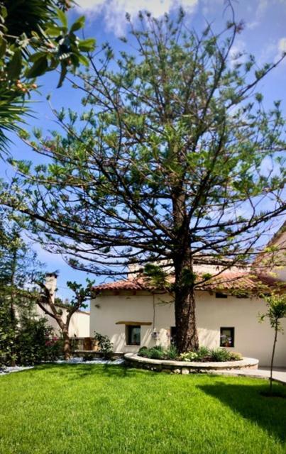 Vrísai Chorio House Platanias 게스트하우스 외부 사진